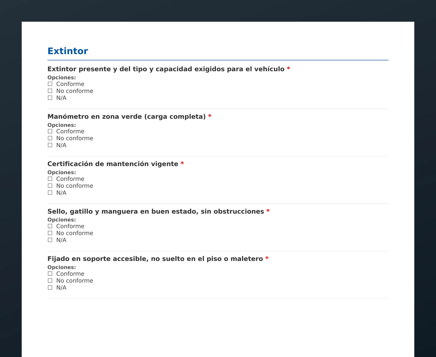 Checklist de inspección de seguridad · vista previa del PDF gratuito descargable